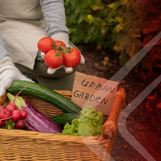Local Farmers